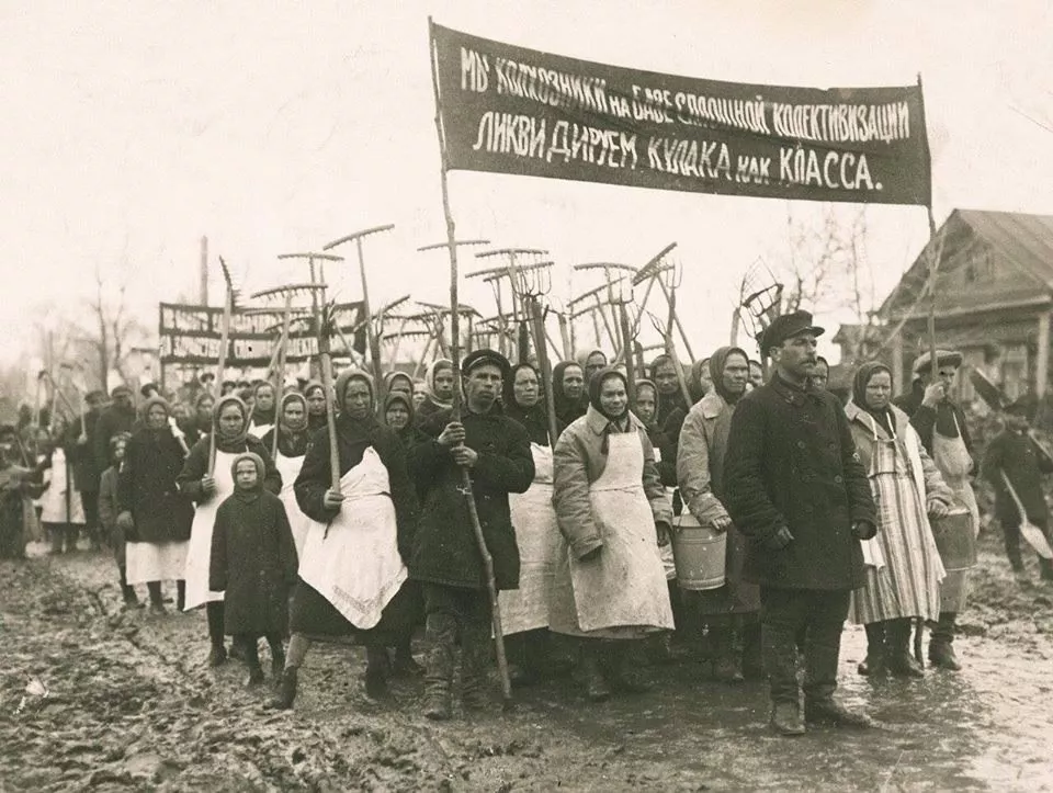 Коллективизация в СССР: раскулачивание, голодомор и восстания крестьян - 2